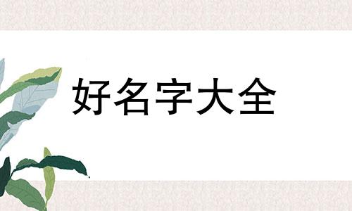 如何给猫起名字洋气点好听