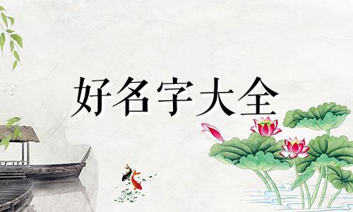 如何快速让狗起名字呢女生