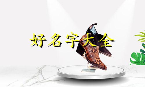 起名如何起的响亮顺口溜大全