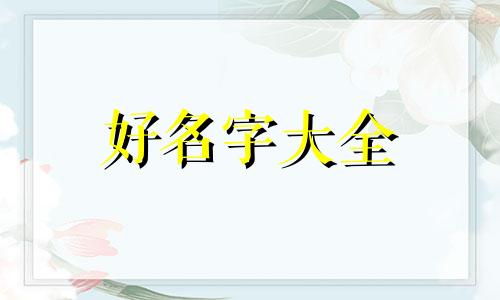 木鼠如何起名字男孩子