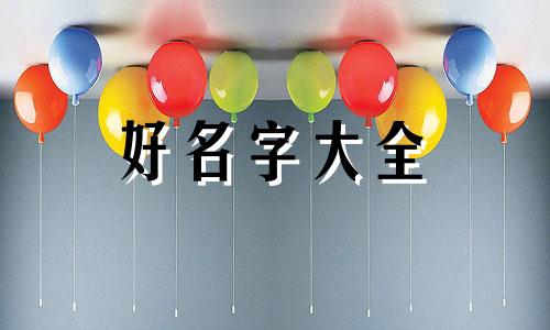 比熊如何起名字大全集最新