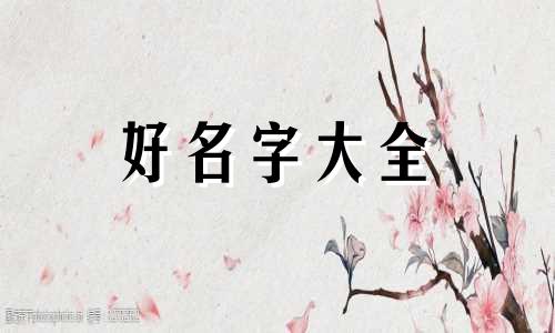 白色流浪狗如何起名字好听