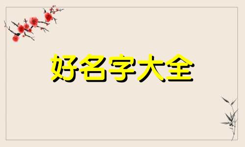 如何给寄居蟹起名字呢