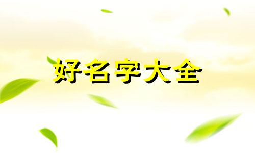 如何给厂家带货服装店起名