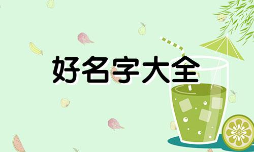 猴宝宝姓康如何起名字好听