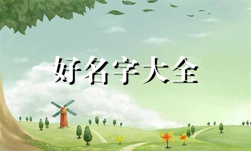 室内如何给案例起名字和寓意