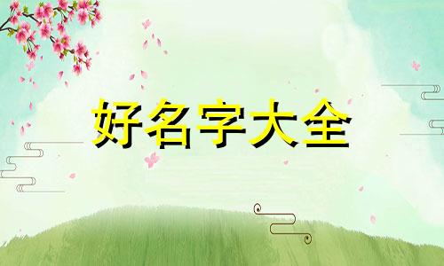 蔬菜种子公司如何起名