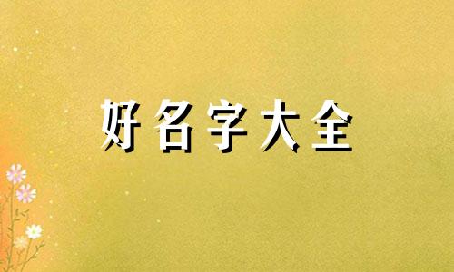 冬天寒冷的雪夜如何起名字