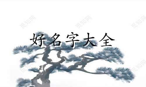 单品店如何起名字好看的