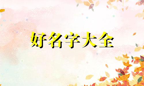 段落标题如何起名好听一些