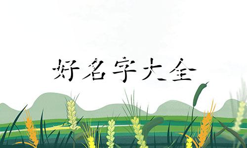 民族风服装如何起名称好听