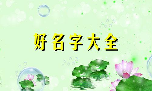 小程序号如何起名字呢女生