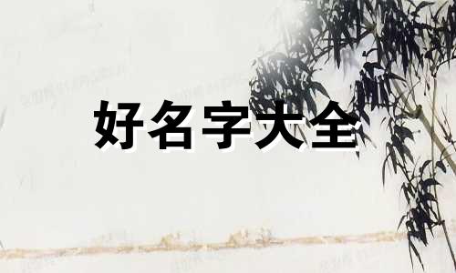 小老虎如何起名字女的可爱