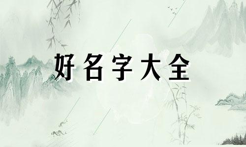 林姓属金起名男该如何取名