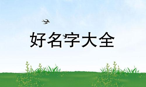 如何给博美起名字好听点