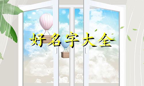 属猪如何起名字男孩好不好