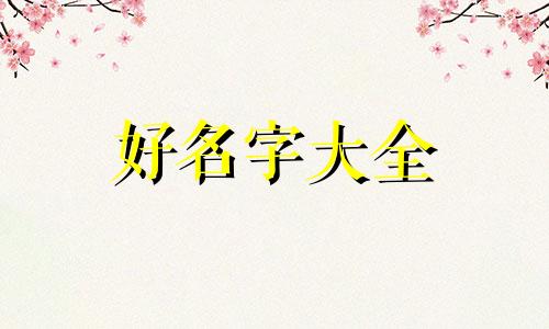 哈迷如何给猫起名字好