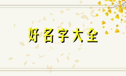 小摄影师如何起名字好听