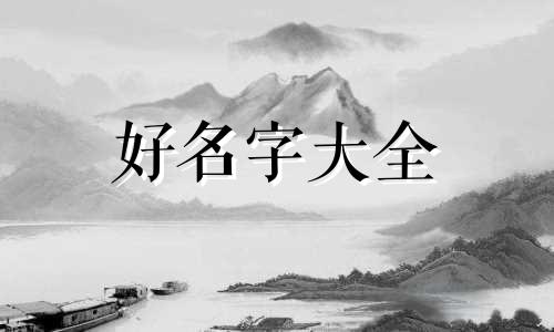 作为一个粉丝如何起名字