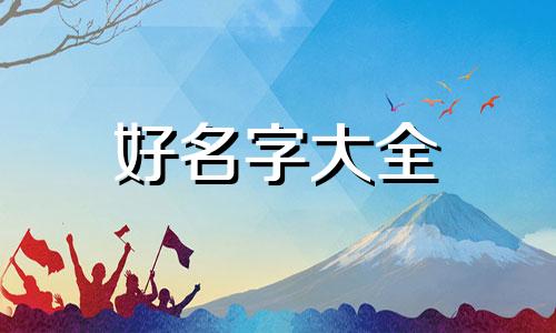 动漫社如何起名字大全好听