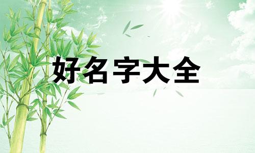如何给英短蓝胖子起名字