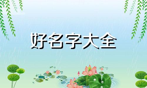 管理层培训项目如何起名称