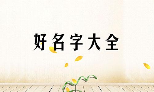 如何给猫咪起名字英文版