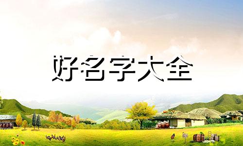 喜庆摄像师如何起名字大全