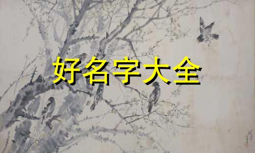 如何给公司名称起名子最好