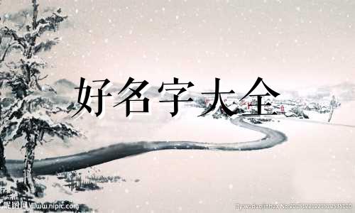 鸟类如何起名字男孩子的