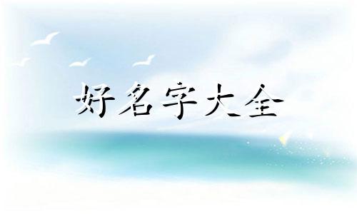 菜市场如何起名字好听女生