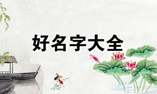 私房美食如何起名字吸引人