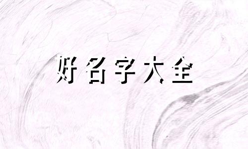 整理师如何起名字大全好听