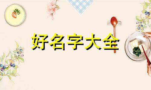 如何给宠物店起名字大全