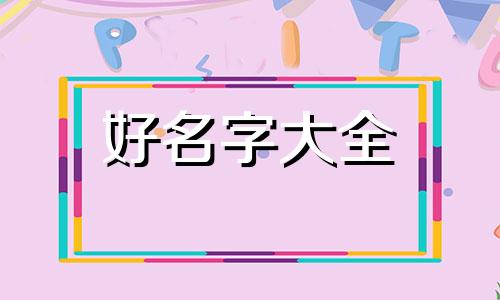 美短猫如何起名好听一点