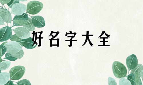 新生儿宝宝如何起名子才好听