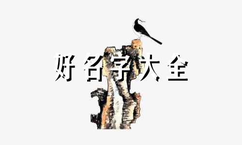 澡堂如何起名好听一点的名字