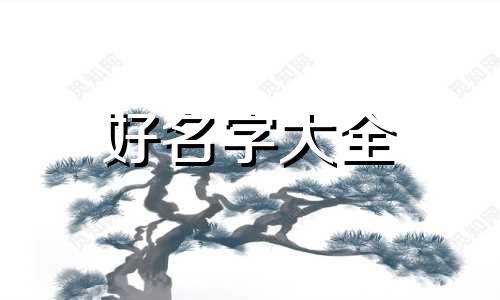 微信视频号如何起名字好听