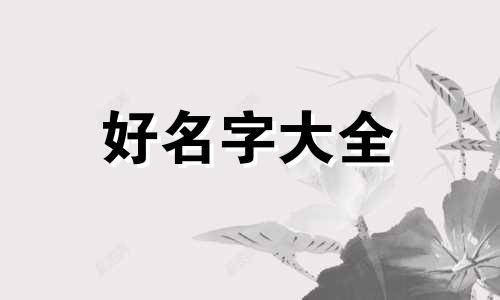 四字如何起名字好看女