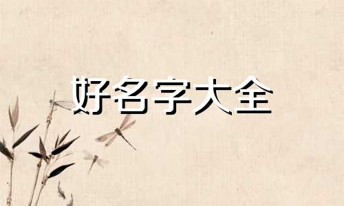 如何起名网站设计公司名称