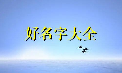 舒姓如何给猴宝宝起名字