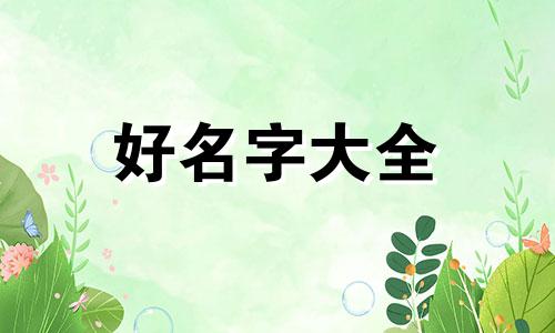 大佬是如何起名字的呢视频