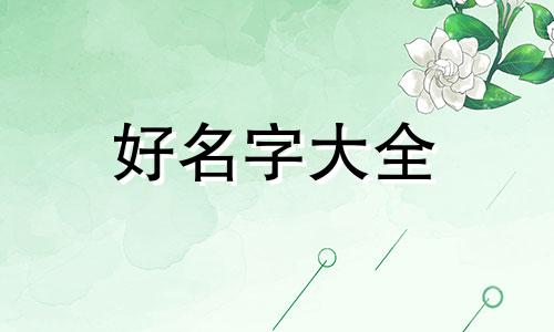 该如何给狗狗起名字呢女生