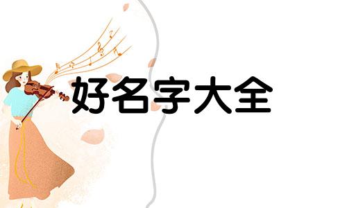 如何给黑天鹅照片起名字