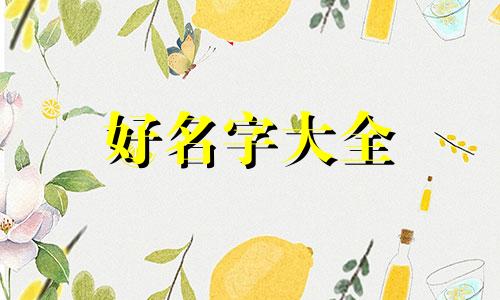 线上线下干果店如何起名字