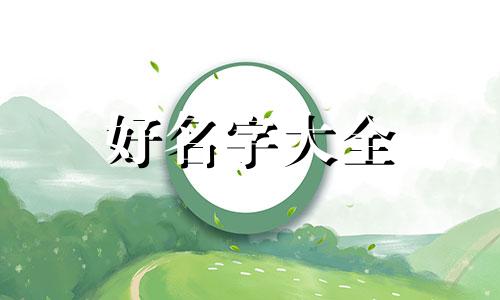 如何给黑白荷兰猪起名字