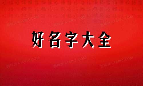 保险人如何起名好听一点