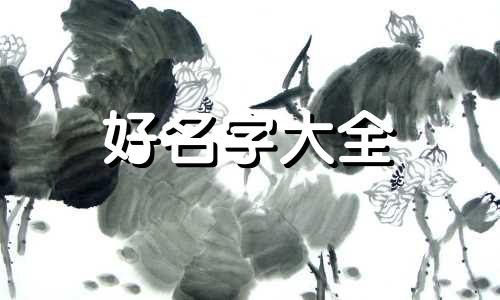 如何起名服务类小程序名字大全