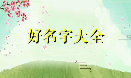 企业如何起名字比较好听