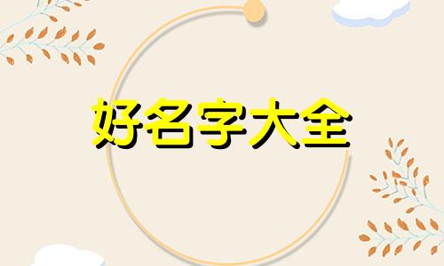 鞠静怡的粉丝如何起名字